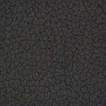 Carabu-110